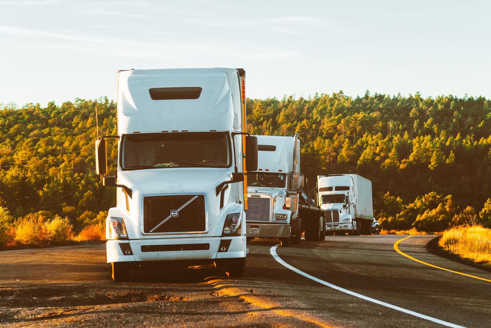 DALIP TRUCKING INC operations